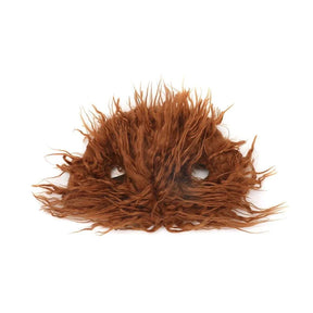 Dog Halloween Costume